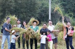 天地人禾：建一个生态支持社群