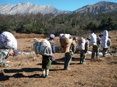 余家华：九顶山“寻枪”