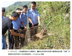 自然保护小区助力生物多样性保护